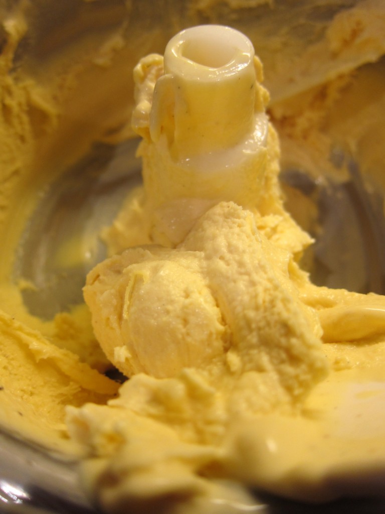 Mango ginger ice cream ICE CREAM NATION